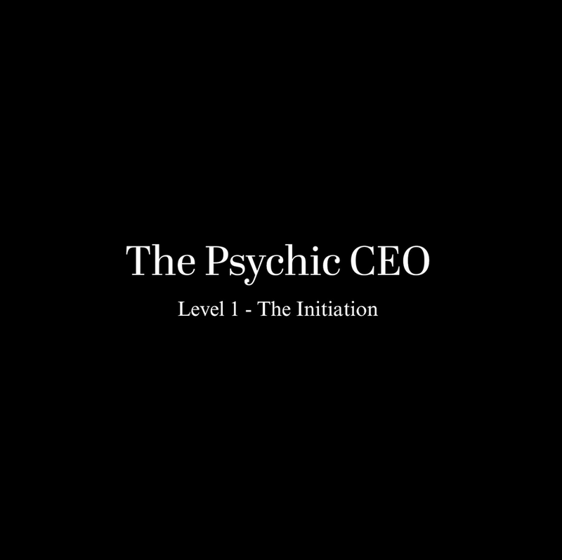 Level 1 - The Initiation (The Psychic CEO™️)